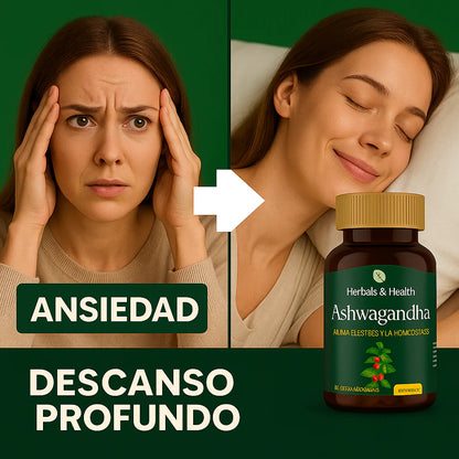 ASHWAGANDHA- Despierta tu calma interior